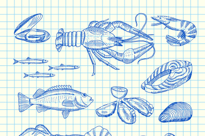 Vector hand drawn seafood elements set