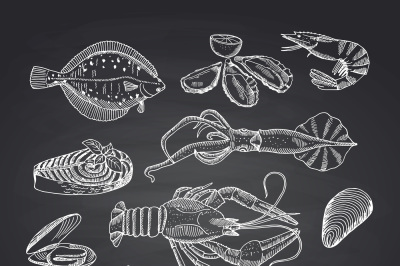 Vector hand drawn seafood elements on black chalkboard set