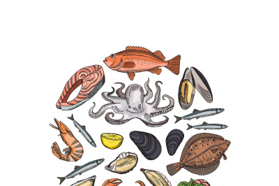 Vector hand drawn seafood elements in form of circle illustration