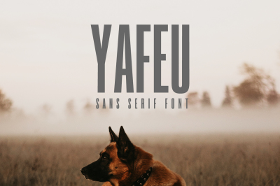 Yafeu Sans Serif Font Family