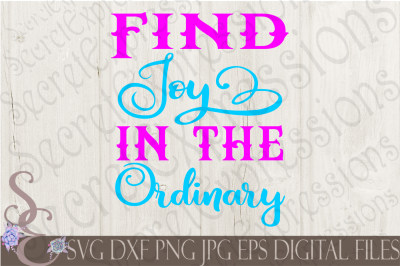 Find Joy In The Ordinary