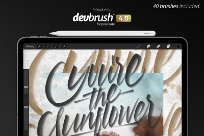 DevBrush™ 4.0 for Procreate
