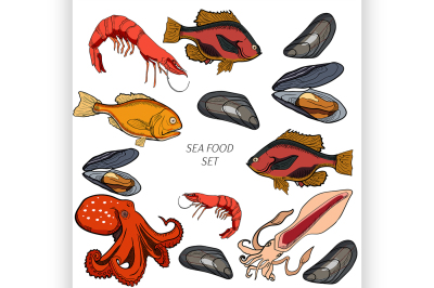 Set of colored sea food products