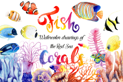 Watercolor drawings of bright fish and corals