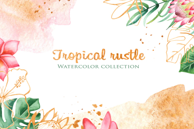 Tropical plants. Watercolor clipart, frames, cards, patterns