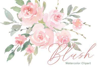 Pink Blush Watercolor Flowers Roses PNG Collection