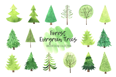 Watercolor Evergreen Trees Set