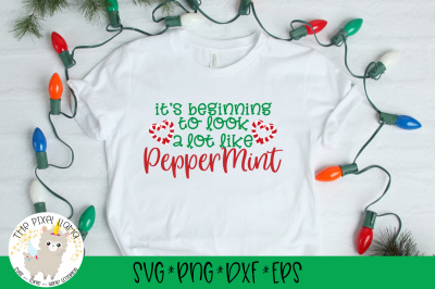 It&#039;s Beginning To Look A Lot Like Peppermint