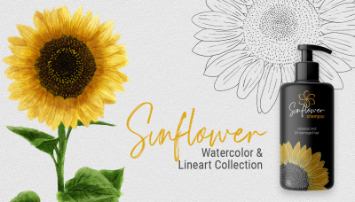 Sunflower Watercolor &amp;amp; Lineart Collection