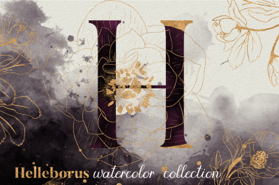 Helleborus Gold Watercolor Collection
