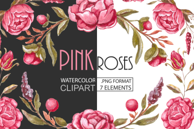 floral clipart,roses,watercolor,png