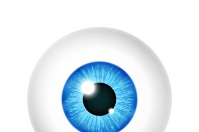 Vector realistic human eyeball