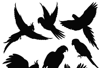 Vector parrots&2C; amazon jungle birds silhouettes isolated on white