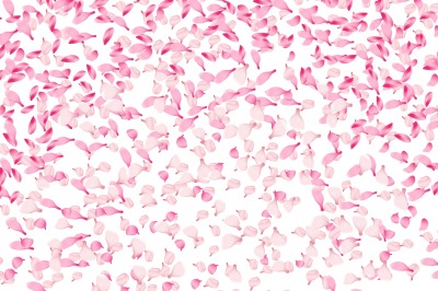 Spring vector background with falling pink petals of sakura blossom