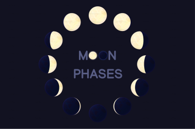 vector cartoon moon phases