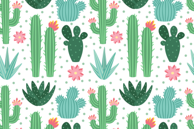 Seamless cactus pattern. Exotic desert cacti houseplants, repeating ca