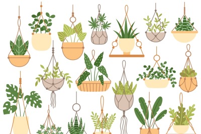 Plants in hanging pots. Decorative macrame handmade hangers for flower