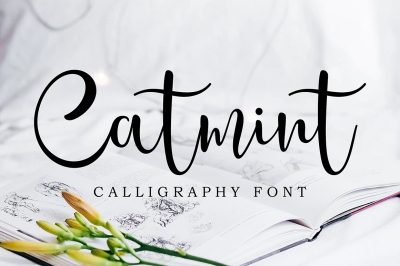 Catmint - script font