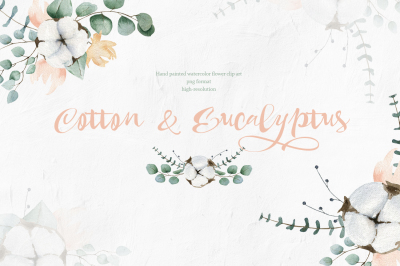 Cotton and Eucalyptus