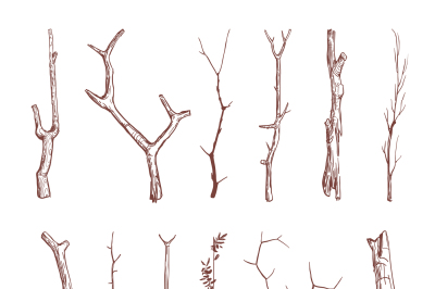 Hand drawn wood twigs, wooden sticks, tree branches vector rustic deco