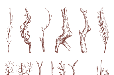 Sketch wood twigs, broken tree branches vector set