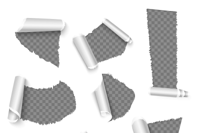Torn papers with curls, holes in the paper vector decoration