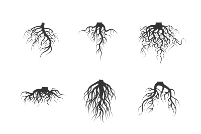 Tree and plant underground roots vector set