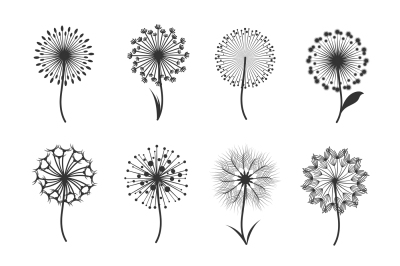 Dandelion flowers with fluffy seeds black floral vector silhouettes is