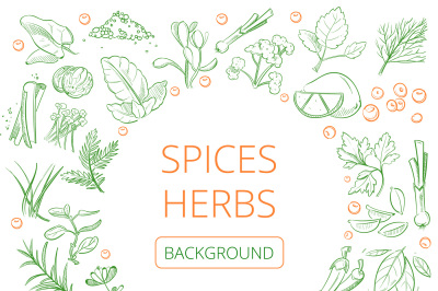 Hand drawn herbs and spices vector healthy natural plants background