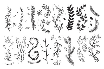 Hand drawn decorative branches with leaves and flowers doodle floral v