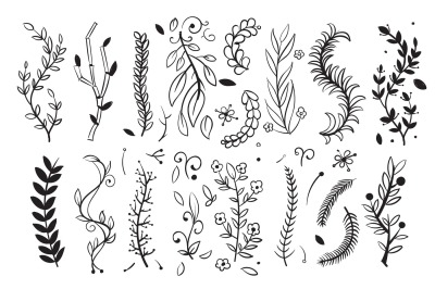 Hand drawn tree wood branches&2C; boughs with leaves and spikes vector do