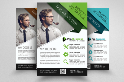 Business Excutive Coach Flyer