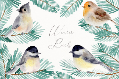 Winter birds clip art