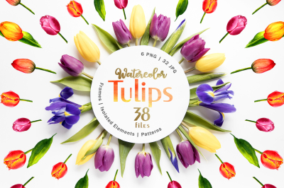 Tulips Watercolor Red png