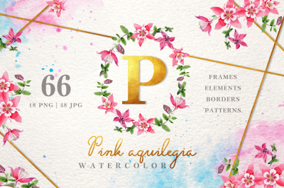 Pink aquilegia Watercolor png