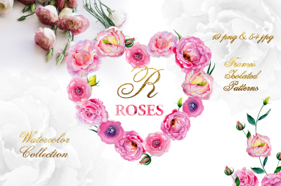 Pink roses Watercolor png