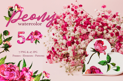 Peony Watercolor png