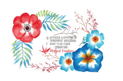 Red and Blue watercolor flowers