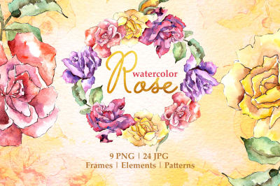 Rose Multi-colored Watercolor png