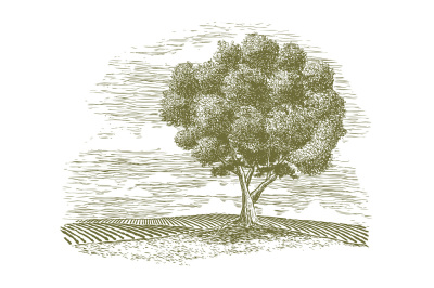 Woodcut Tree and Countryside