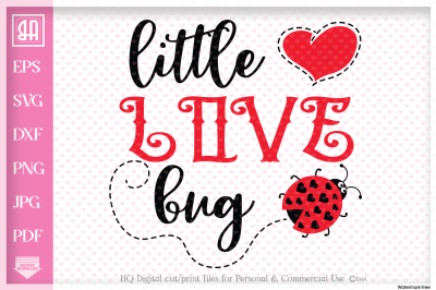 Little love bug SVG, Little bug SVG, Valentine&#039;s day SVG