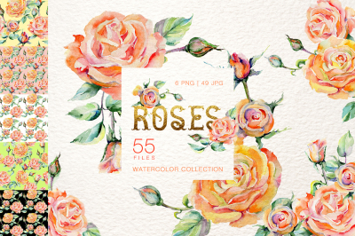 Stylish rose Watercolor png