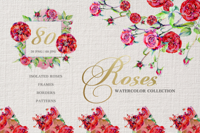 Rose red magic Watercolor png