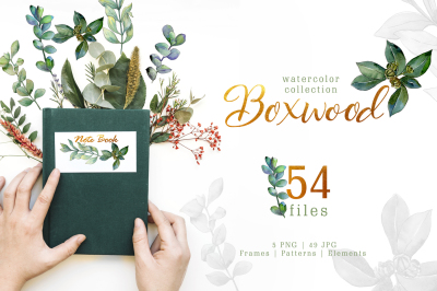 Green watercolor boxwood PNG