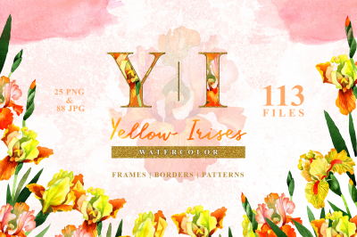 Yellow irises Watercolor png