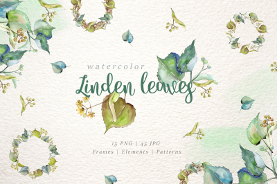 linden leaves Watercolor png