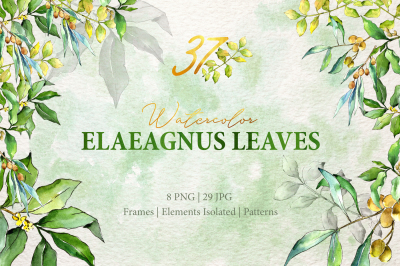 Watercolor Green Elaeagnus  PNG