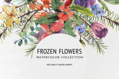 Frozen Flowers, watercolor