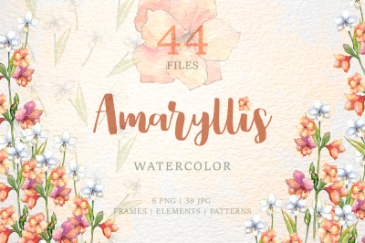 Amaryllis flowers Watercolor png