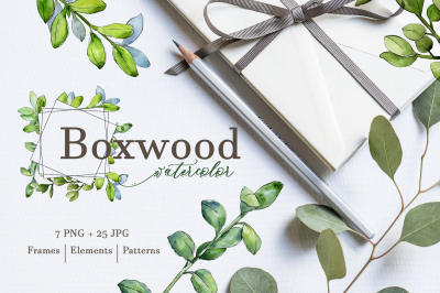 Boxwood Watercolor png